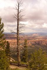 Bryce Canyon