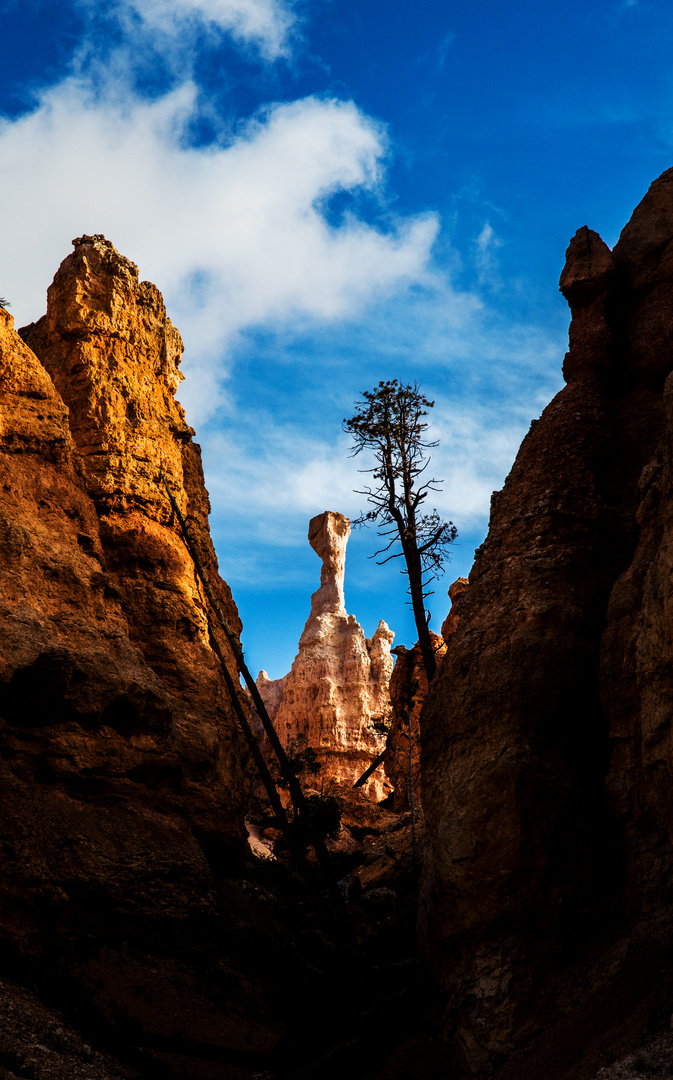 Bryce Canyon