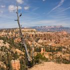 Bryce Canyon