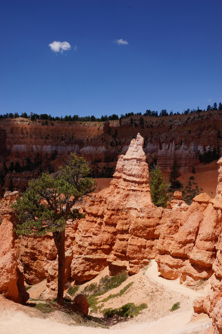 Bryce Canyon