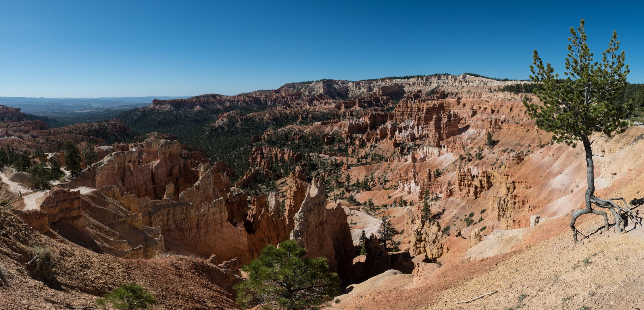 Bryce Canyon