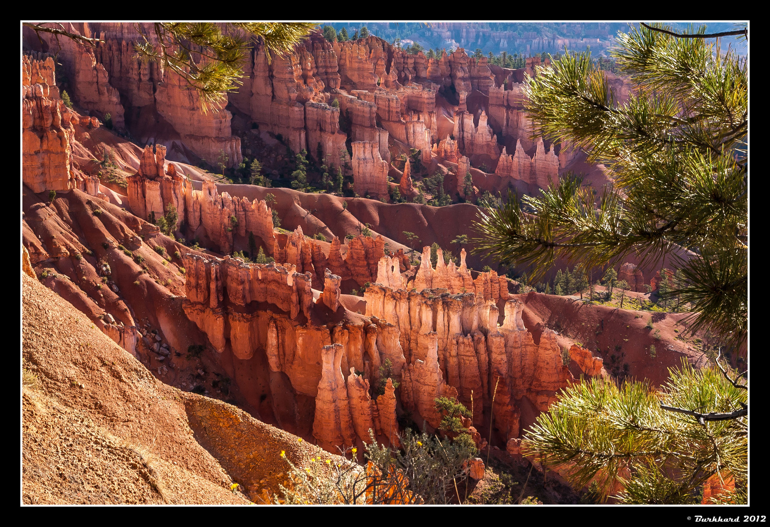 Bryce Canyon