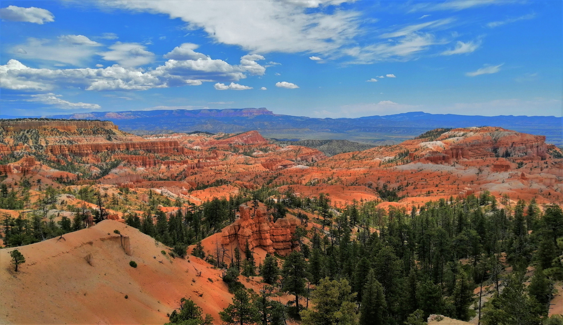 Bryce Canyon - Eine Schönheit für sich