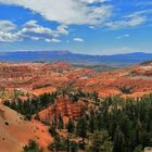 Bryce Canyon - Eine Schönheit für sich