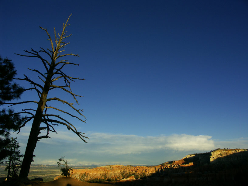 Bryce Canyon evening scene