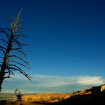 Bryce Canyon evening scene