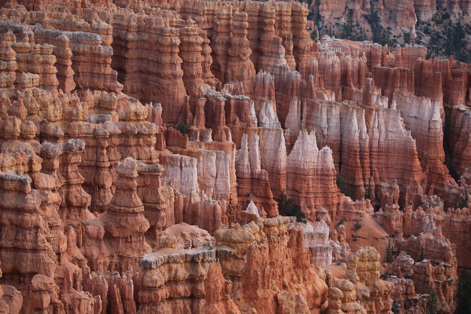 Bryce Canyon