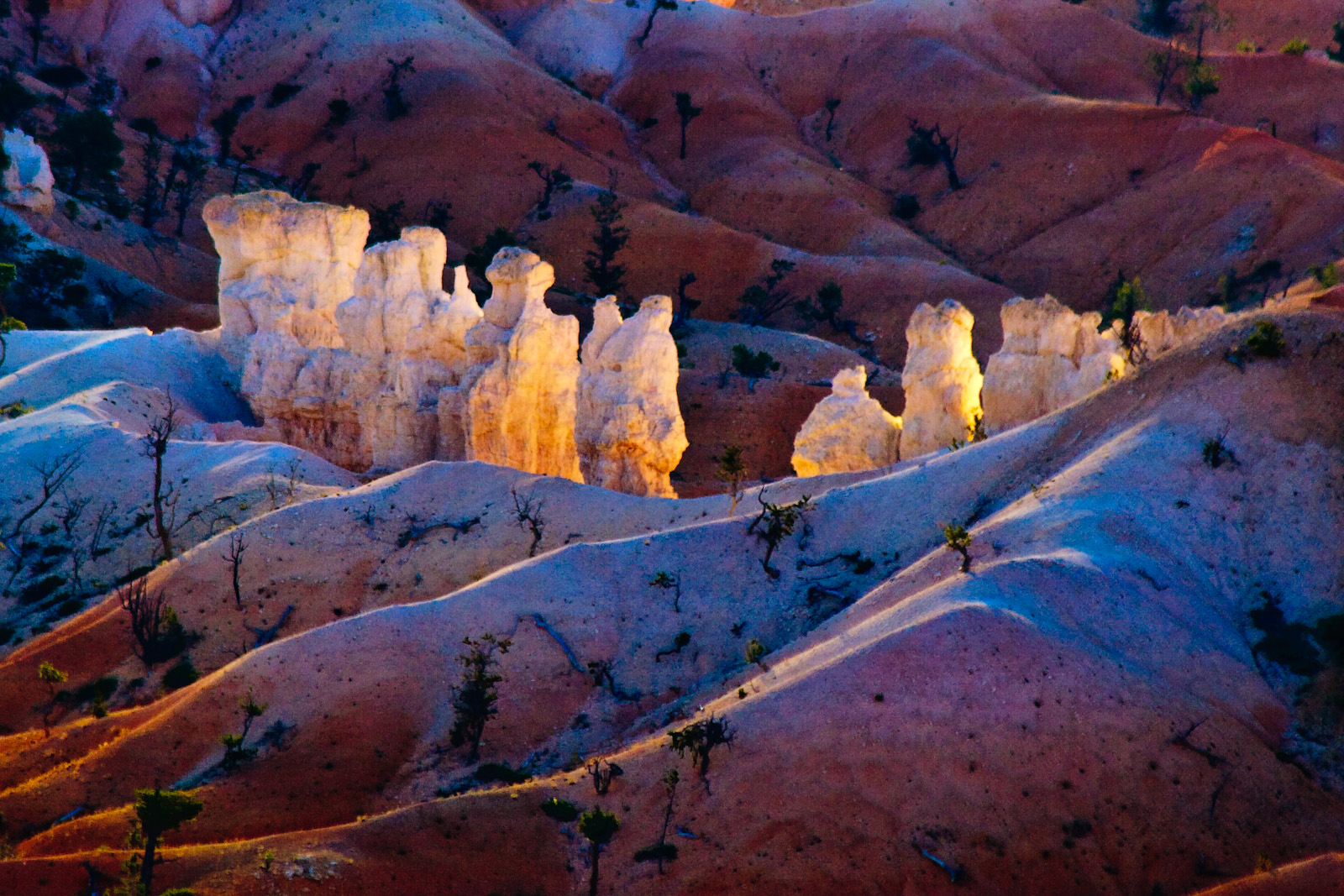 Bryce Canyon