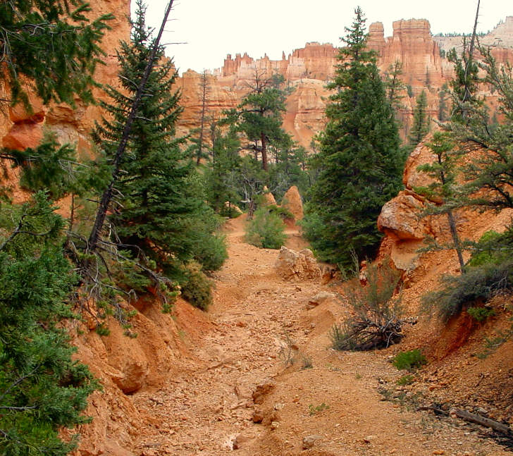 Bryce Canyon