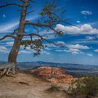 Bryce Canyon