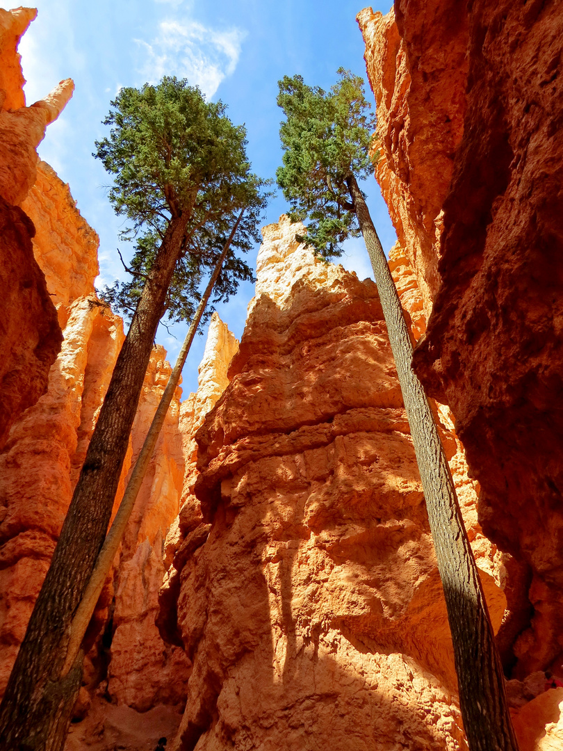 Bryce canyon