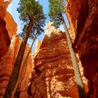 Bryce canyon