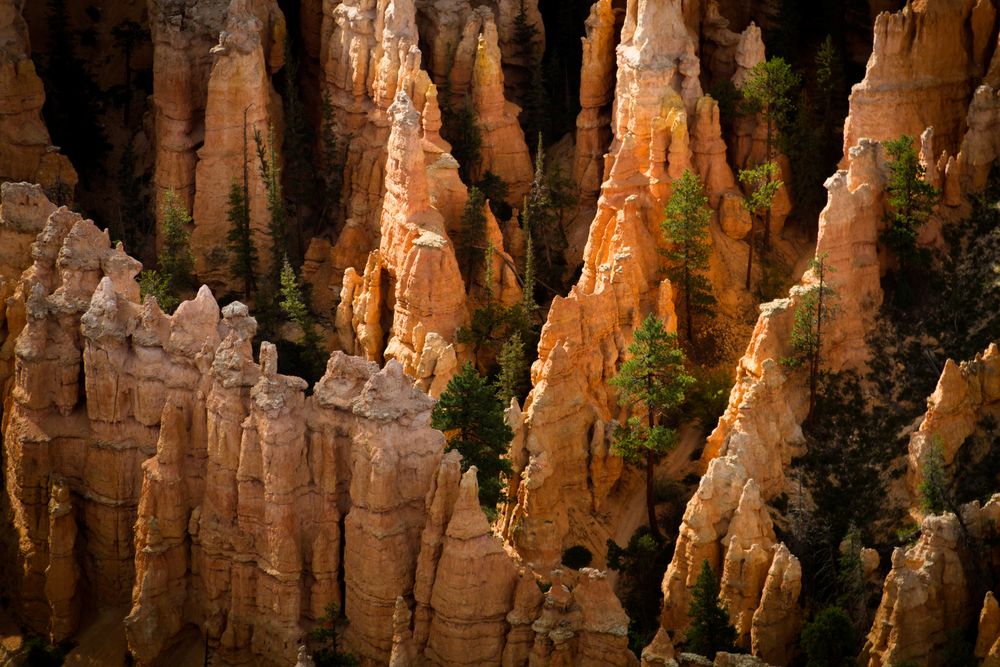 Bryce Canyon