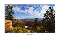 Bryce Canyon