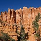 Bryce-Canyon