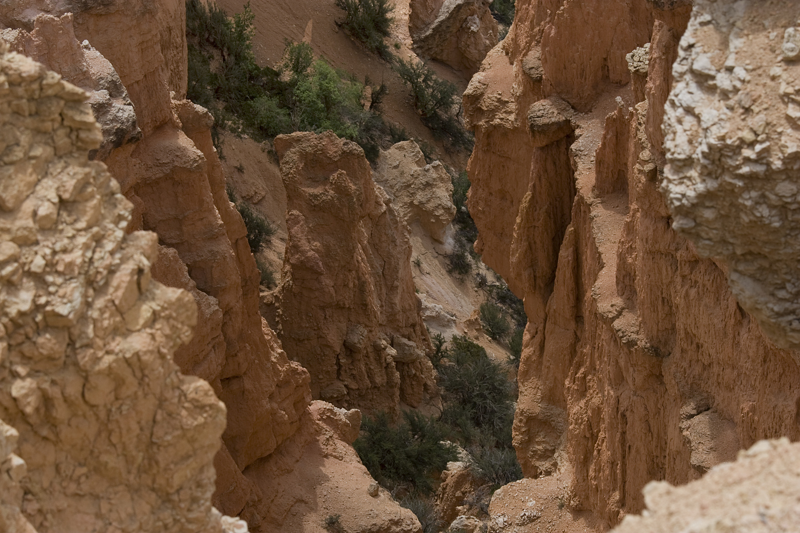 Bryce Canyon (Felsschnitzerei)