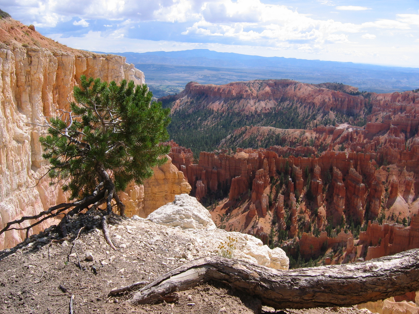 bryce canyon