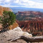 bryce canyon