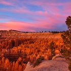 Bryce Canyon früh morgens, Oktober 2014