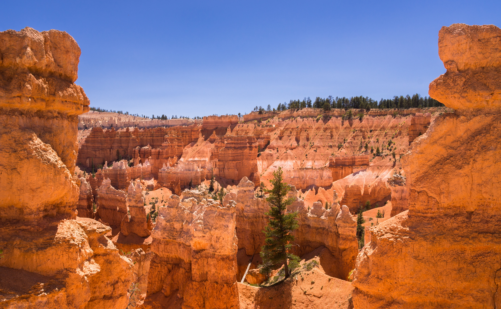 Bryce Canyon, gerahmt