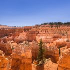 Bryce Canyon, gerahmt