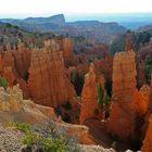 Bryce Canyon - Glowing Hoodoos