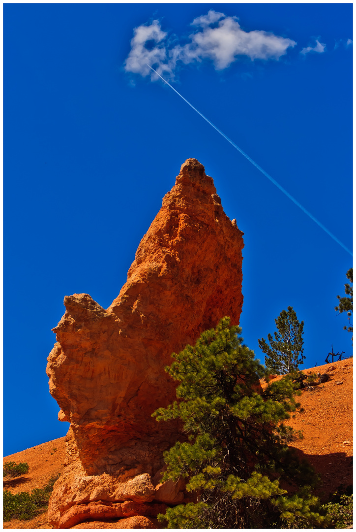 Bryce Canyon Goofy...