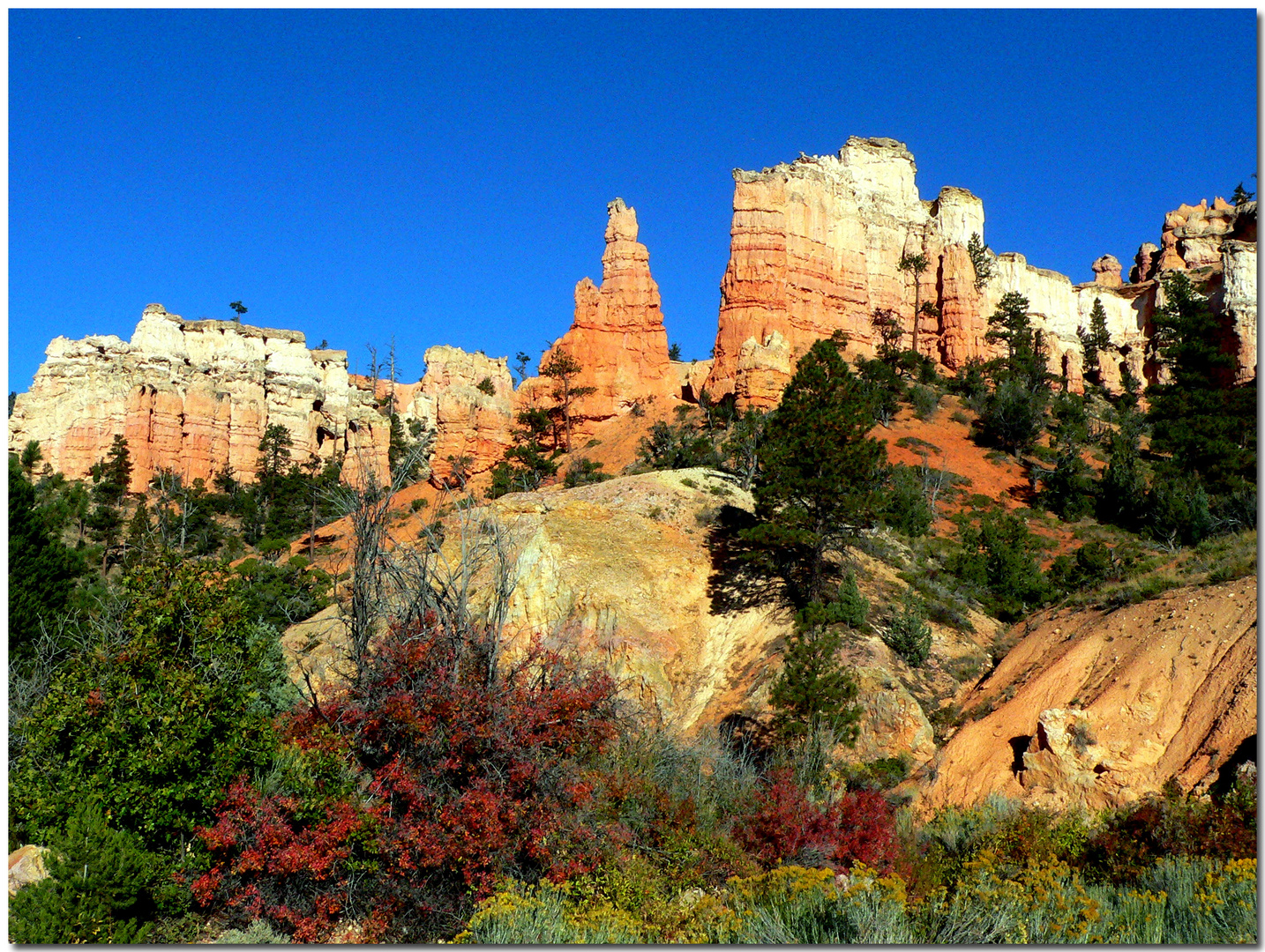 BRYCE Canyon Herbst