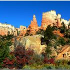 BRYCE Canyon Herbst