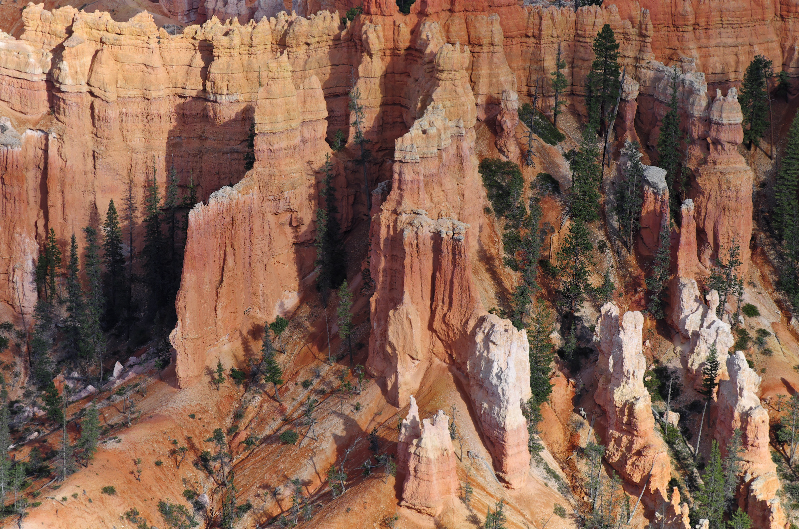 Bryce Canyon I