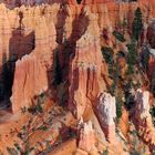 Bryce Canyon I