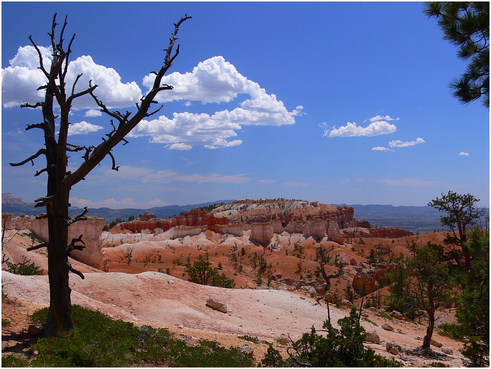 Bryce Canyon I