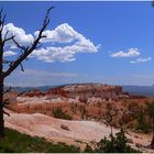 Bryce Canyon I