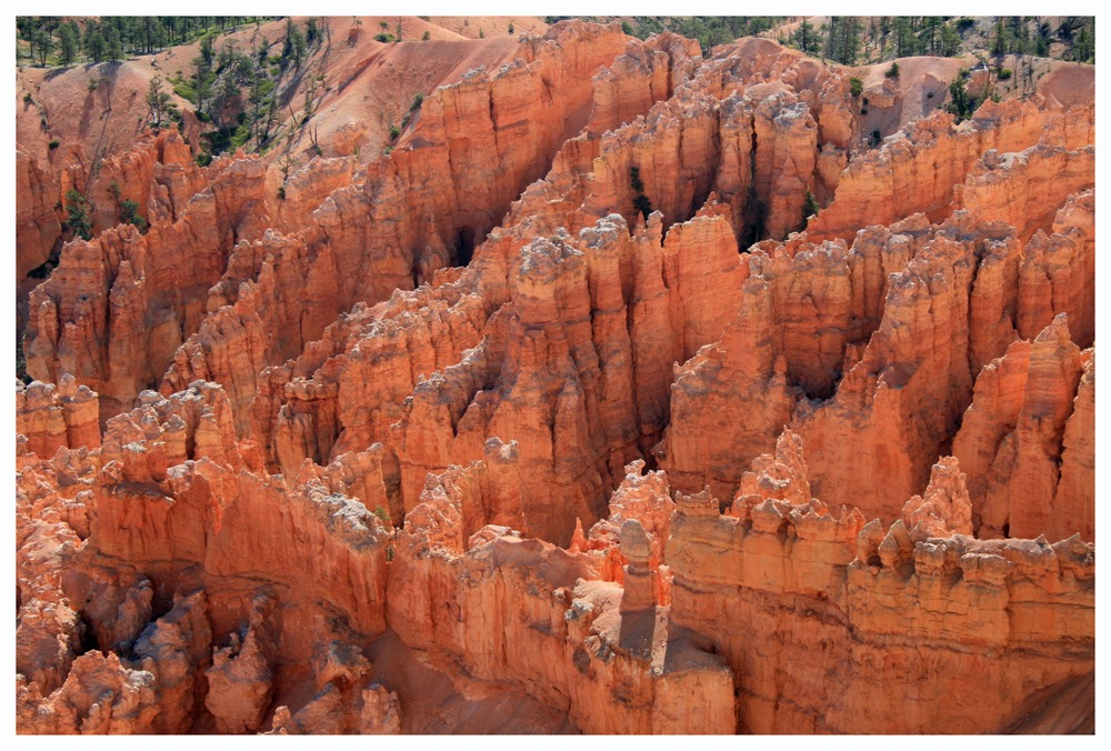 Bryce Canyon I