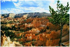 Bryce Canyon I