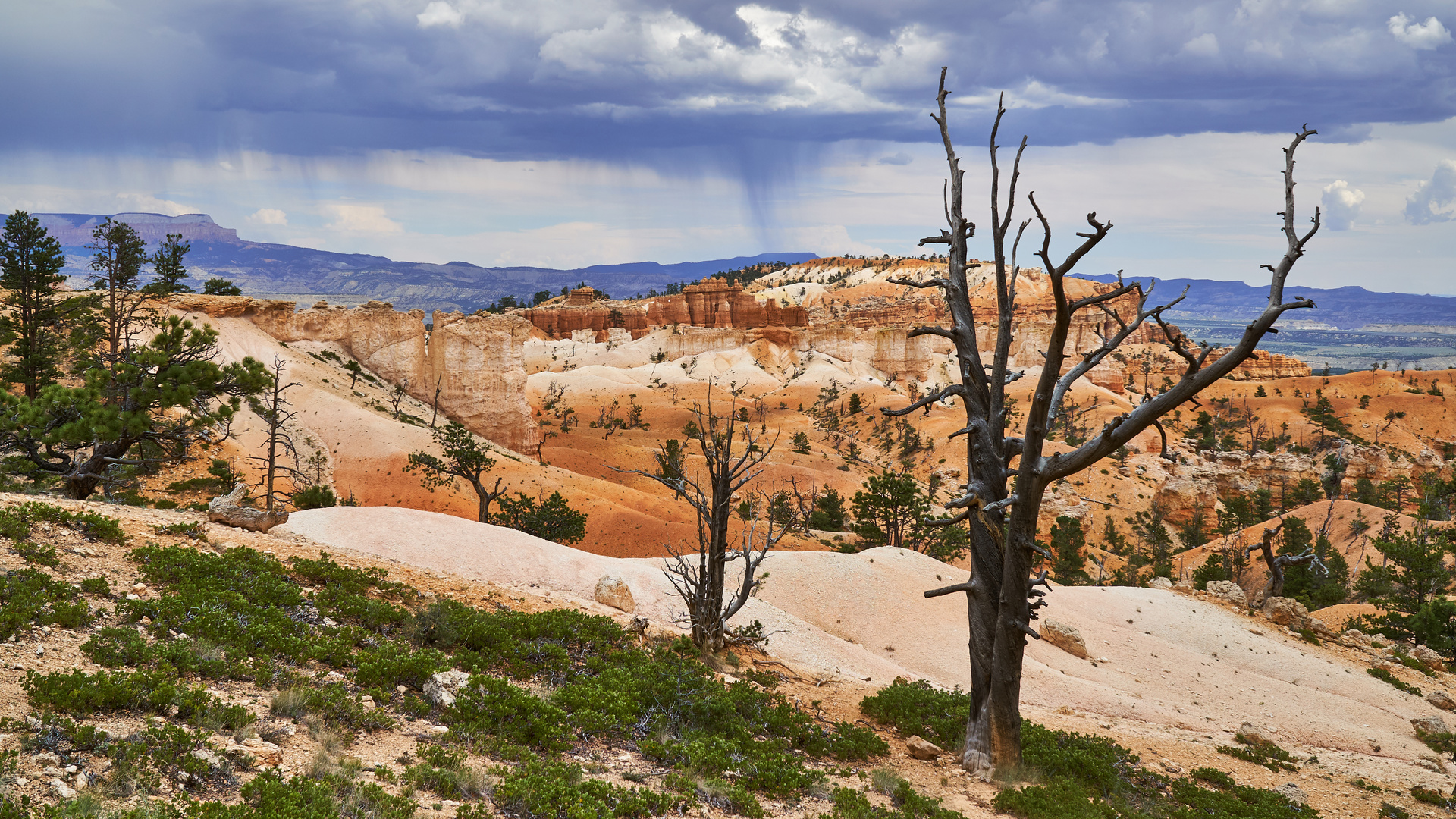 Bryce Canyon I