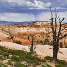 Bryce Canyon I