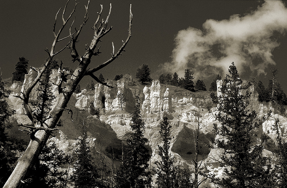 Bryce-Canyon I