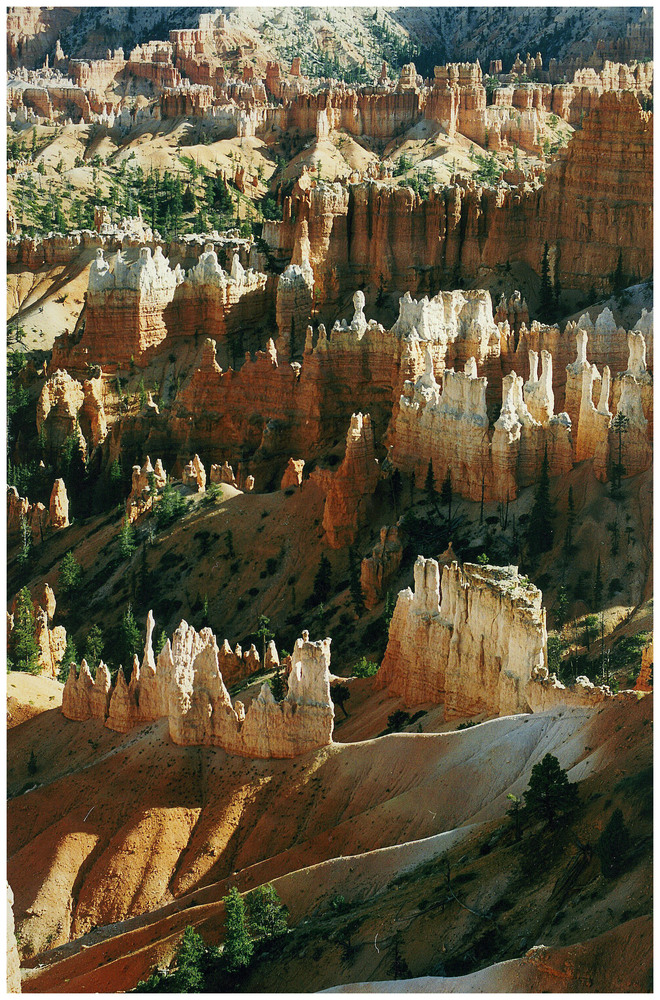 Bryce Canyon II