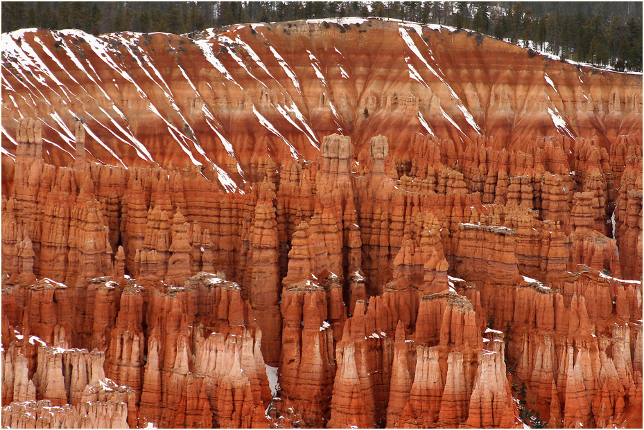 Bryce Canyon II