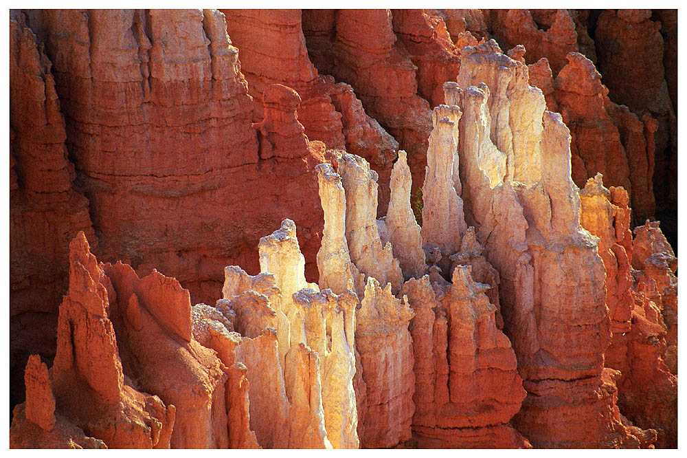 Bryce Canyon II