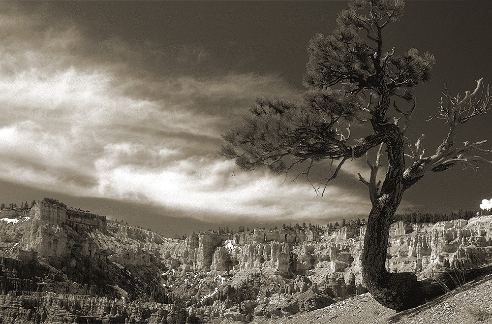 Bryce-Canyon II