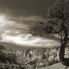 Bryce-Canyon II