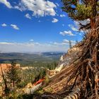 Bryce Canyon III