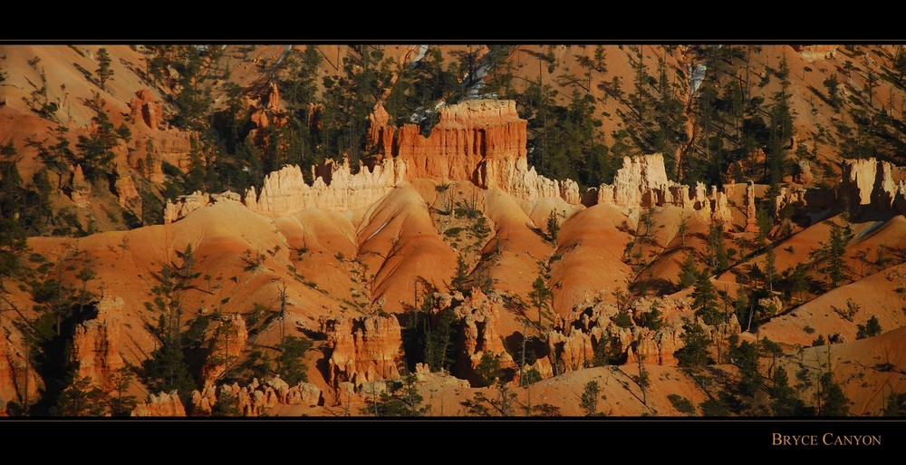 Bryce Canyon III