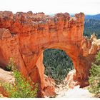 Bryce Canyon III