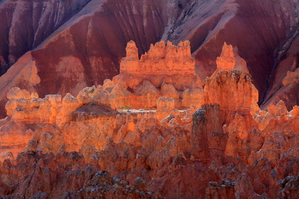 Bryce Canyon im Abendlicht