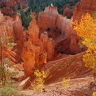 Bryce Canyon im Herbst