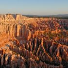 Bryce Canyon im Morgenlicht