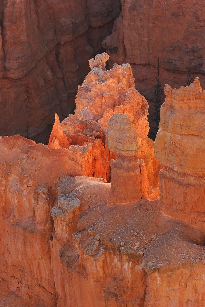 Bryce Canyon im Morgenlicht